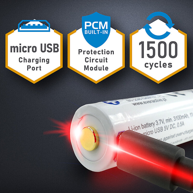 everActive 18650 3.7V Li-ion 3200mAh Micro USB Rechargeable Battery 